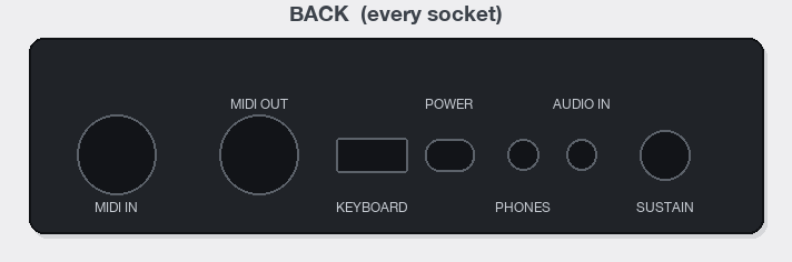 The RK-1 rear panel with every socket labelled: MIDI IN,
      MIDI OUT, KEYBOARD, POWER, PHONES, AUDIO IN and SUSTAIN